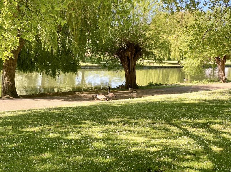 Riverside Holiday Park Pavenham